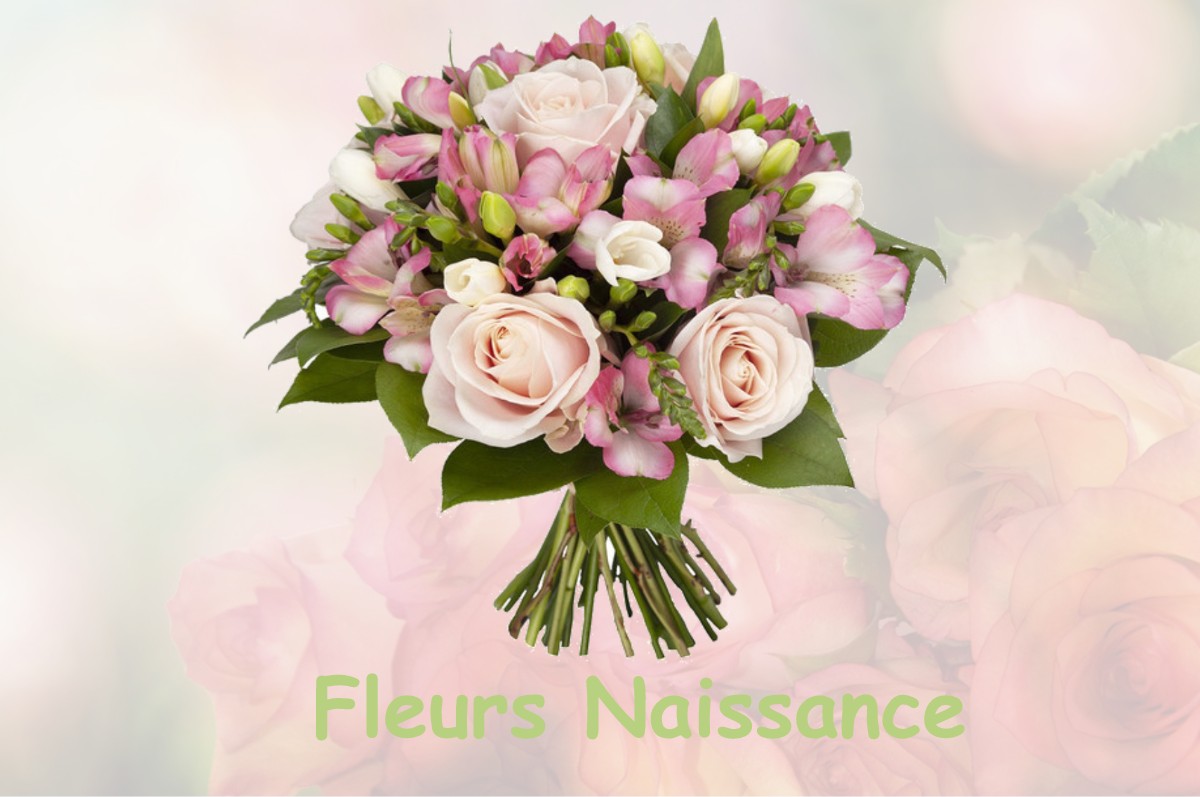 fleurs naissance LA-CHAPELLE-MARCOUSSE